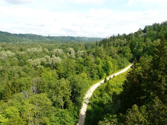 p1120527
