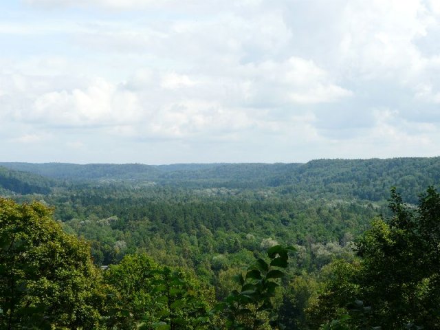 p1120558